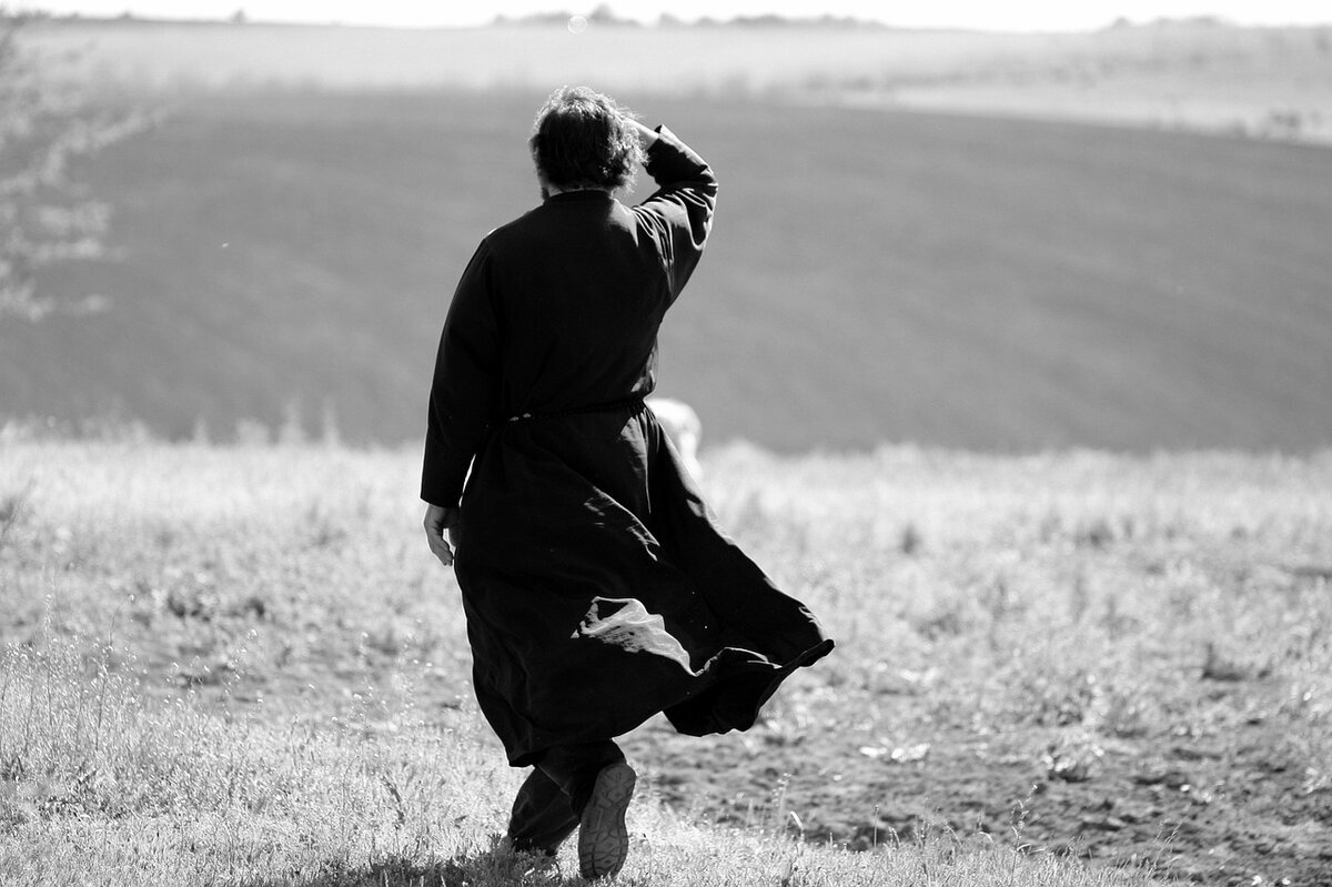 фото из открытого доступного источника сети интернет