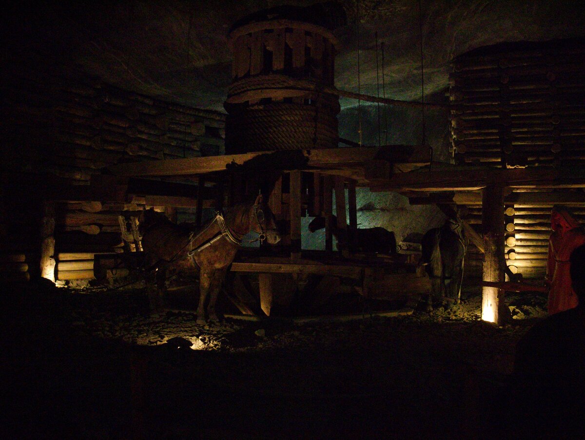 В США в шахтах пони не использовали, вместо них выступали ослы, собаки, а иногда и козы.