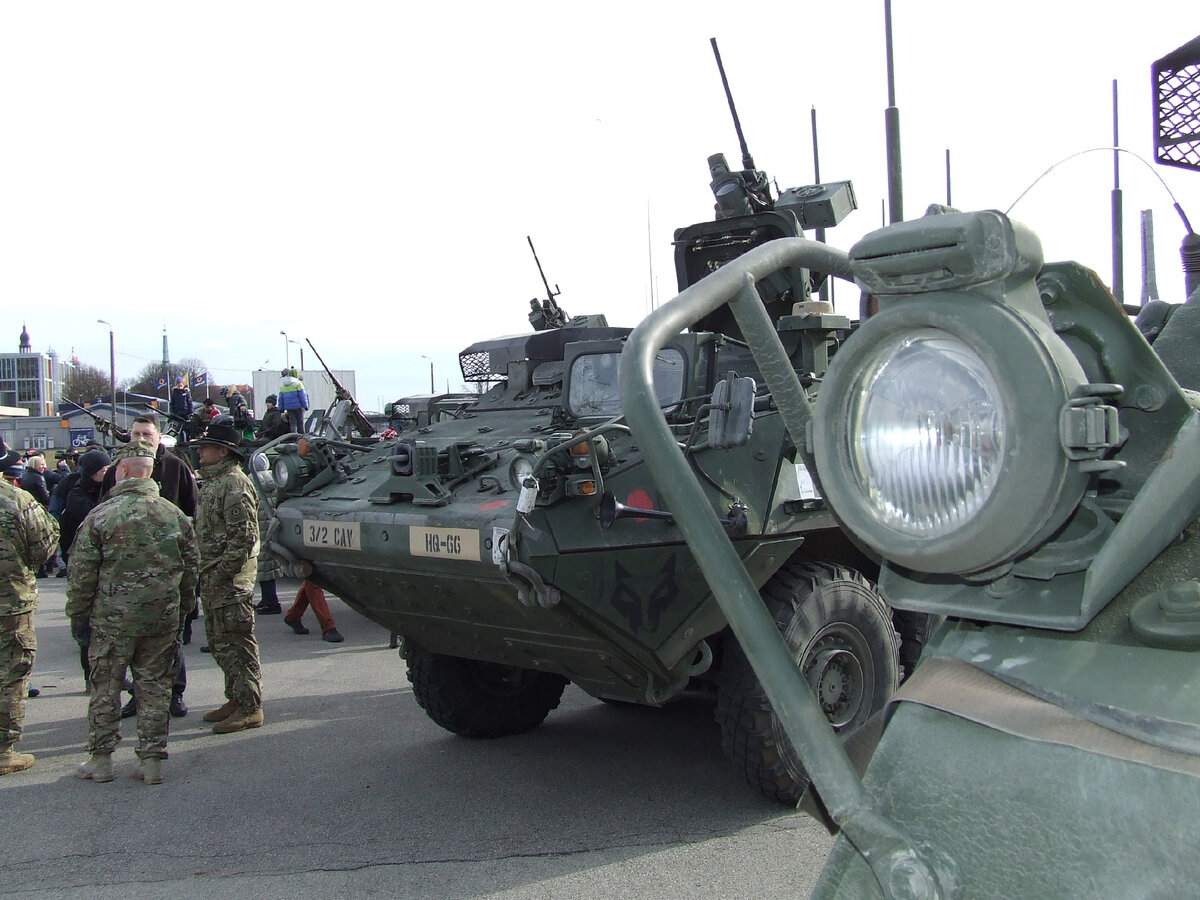 Вот такие гости. Фото автора