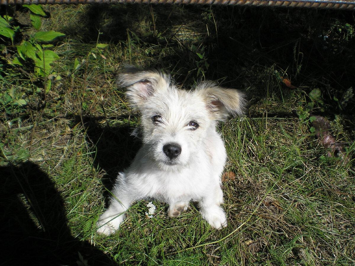 тут милые фото, листайте!