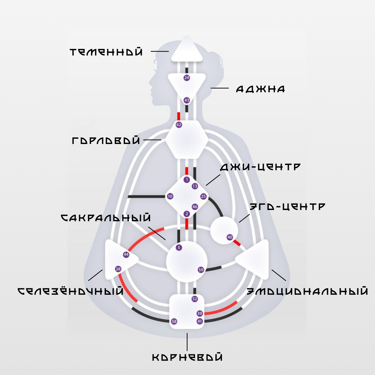 Центры в Дизайне Человека