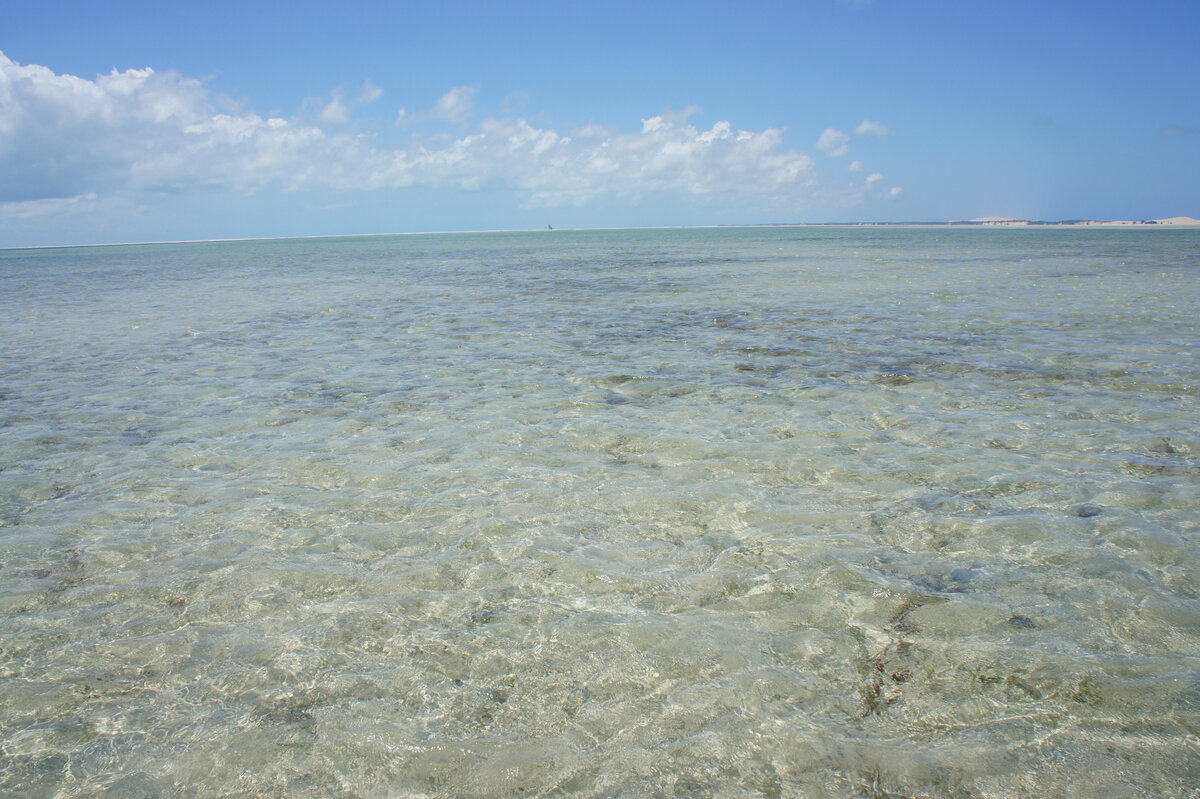 Здесь можно окунуться в прозрачную теплую воду. Мозамбик.