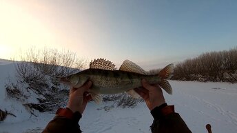 ЧУДО СНАСТЬ НЕ ОСТАВИЛА МЕНЯ БЕЗ УЛОВА!!! ОЧЕНЬ КРУТАЯ РЫБАЛКА ХАПУГАМИ. ОТВЁЛ ДУШУ. ЩУКА СУДАК И КАРАСЬ НА ХАПУГУ-ХЛОПОК.