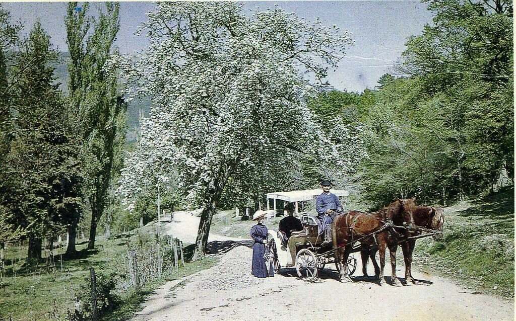 Ранняя весна в Алупке 1910 года. Фотография ялтинского мастера Петра Веденисова