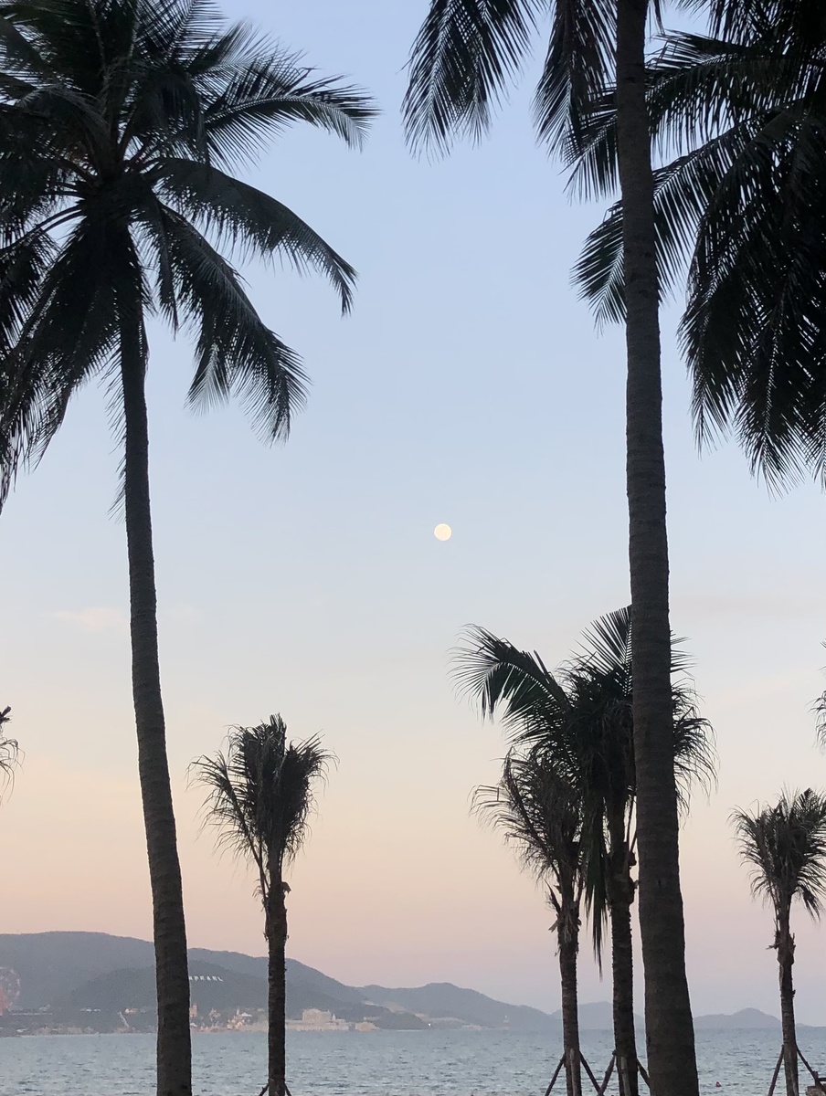 Из личного архива, июнь 2021, Вьетнам 