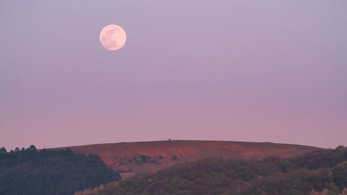 Полнолуние может всесторонне влиять на жизни людей. Фото: Pixabay.com