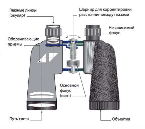 Как устроен бинокль схема