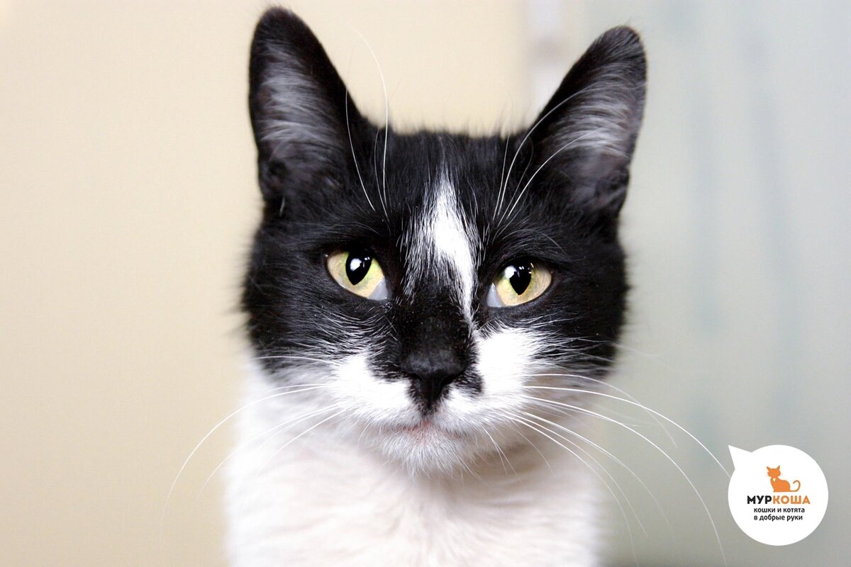 «Говорят мы самые удивительные и милые!»