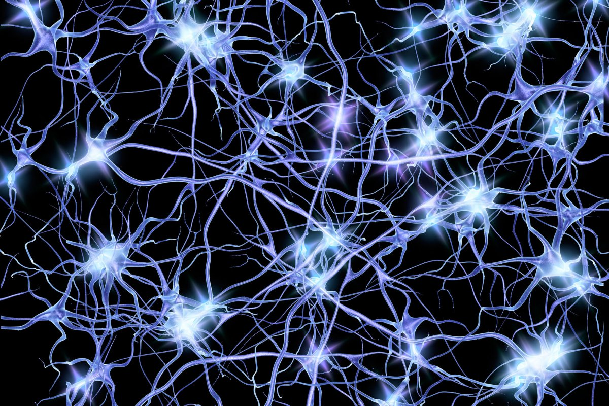Нейрон в нейронной сети. Нейронная система мозга. Нейронная сеть головного мозга человека. Нейросеть Нейроны. Нейро системы