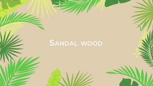 SANDALWOODS: обзор капсулы от стилиста