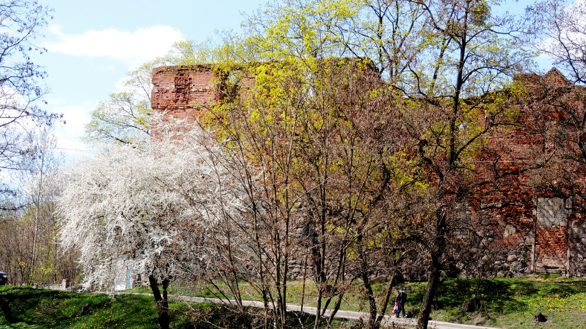 За распустившейся листвой и цветами стен замка почти не видно...