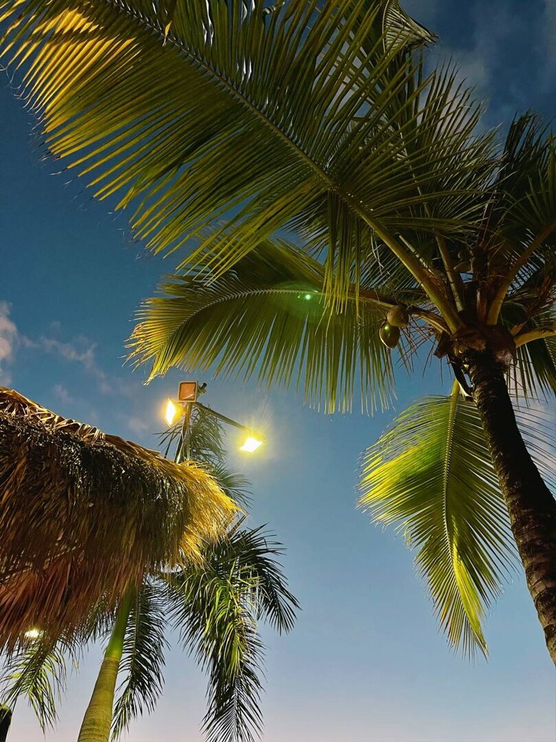 📍Доминикана