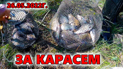 Ловля КАРАСЯ. МАЙ 2022год. Рыбалка на поплавок. Весенняя рыбалка на озере.