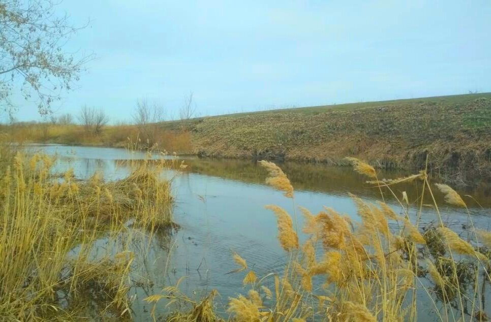 От зацепов на дне водоема никто не застрахован!