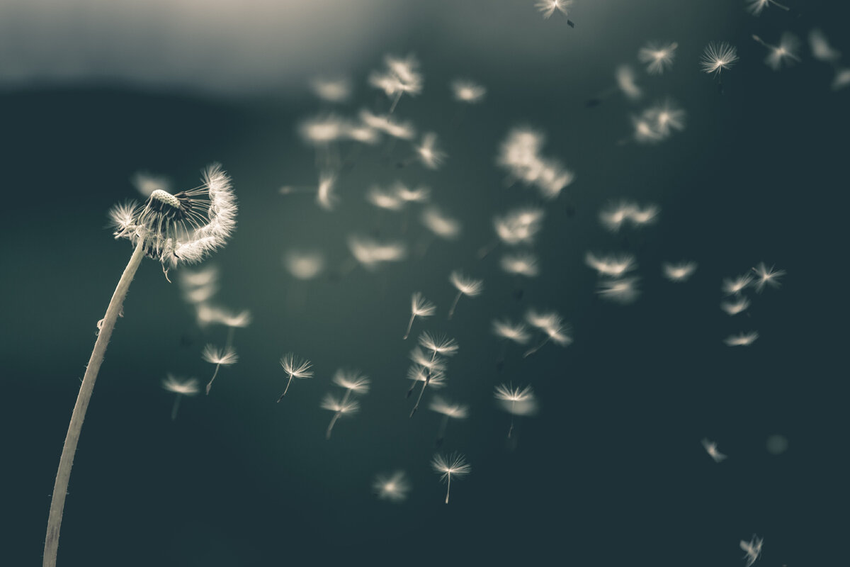 Saad Chaudhry, https://unsplash.com/photos/YNM4KStg78I 