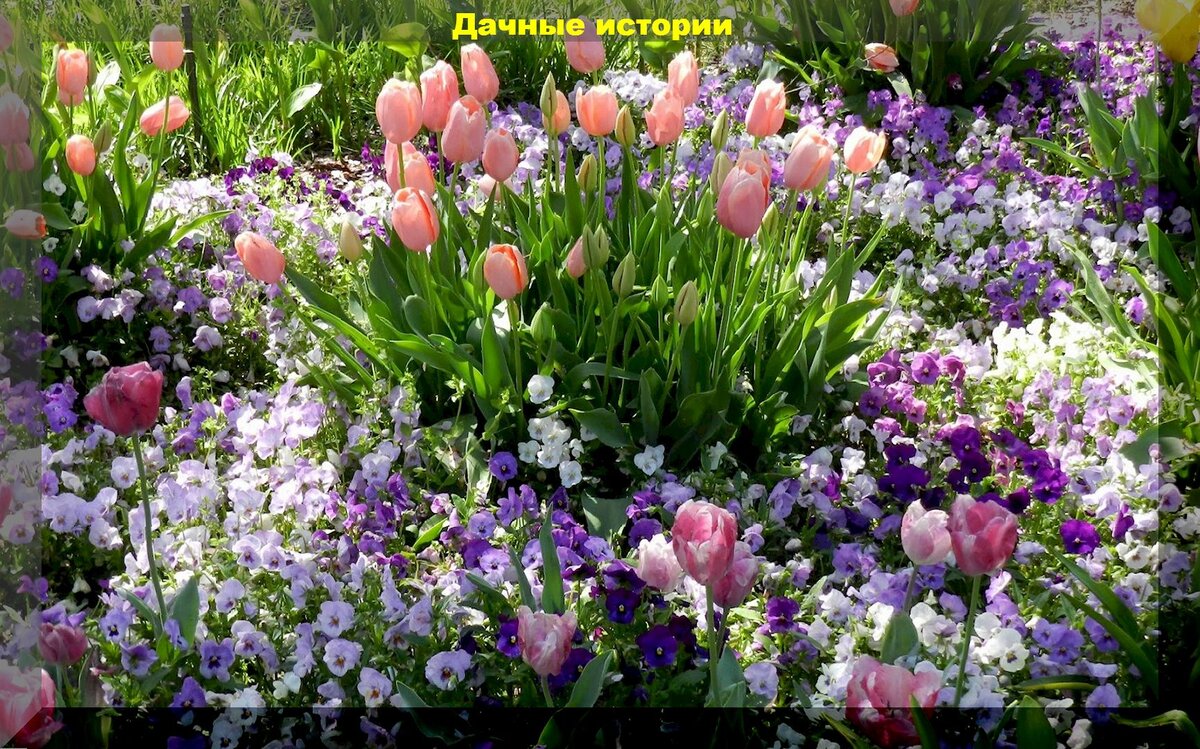 https://vk.com/photo-159774511_457253852