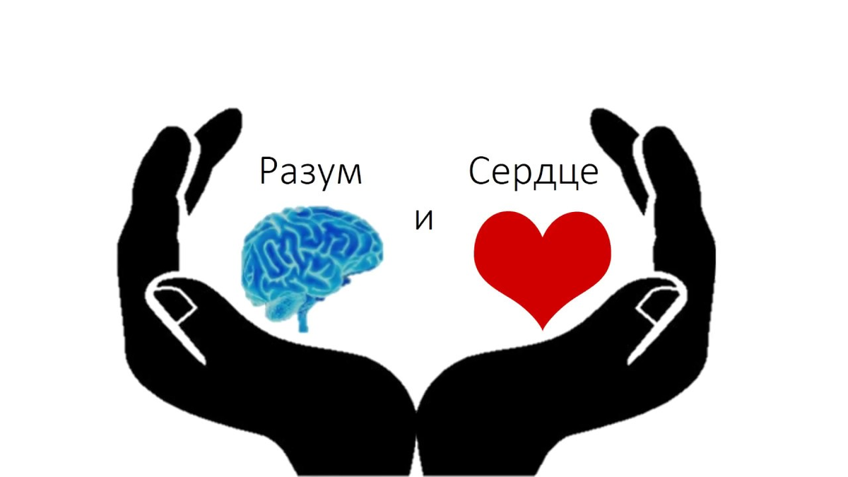 Любовь разума. Сердце и разум. Ум и сердце. Сердце или разум. Сердце и разум картинки.