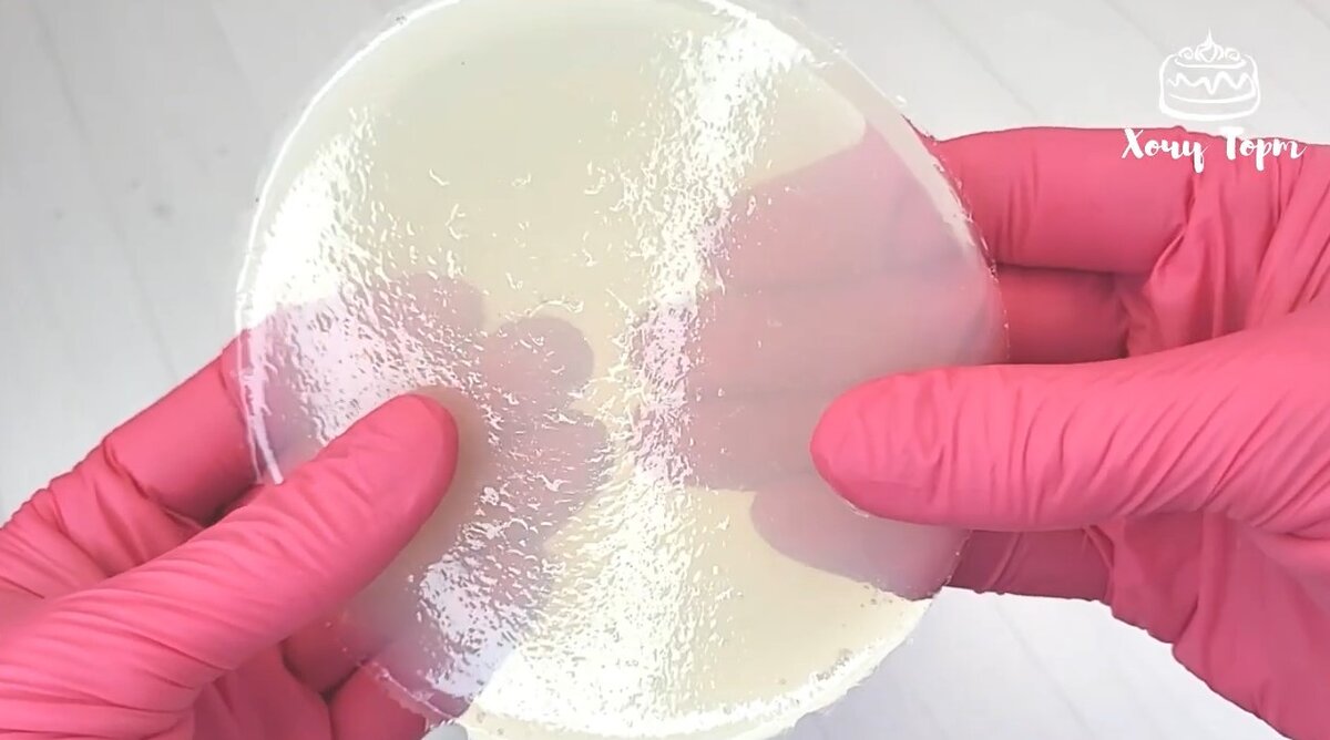 Как проверить качество агар-агара (простой способ) - Хочу ТОРТ