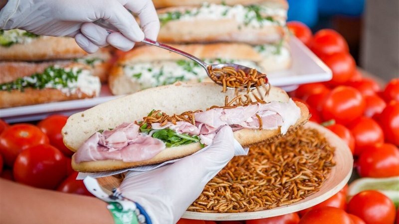 Насекомые в Европейской кухне.
