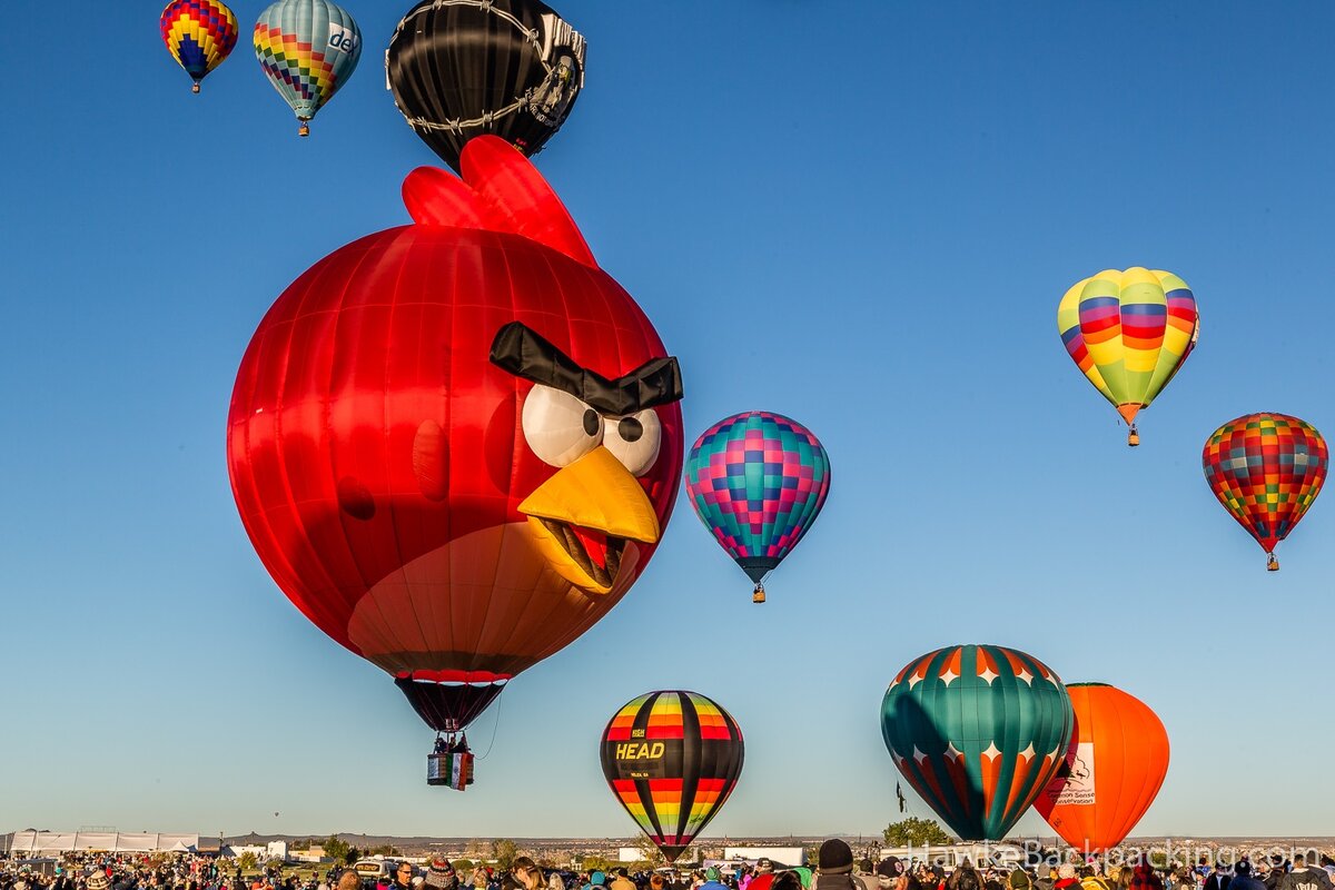 Albuquerque International Balloon Fiesta