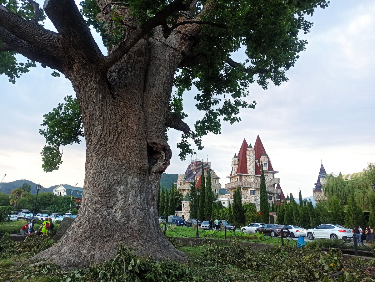 Размеры впечатляют, посмотрите на размеры людей на заднем плане