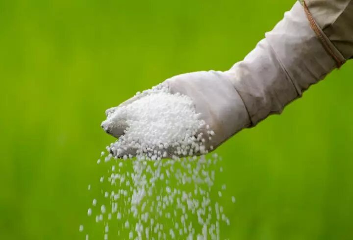 Фото 123RF/singkham: удобрением подкармливают различные культуры