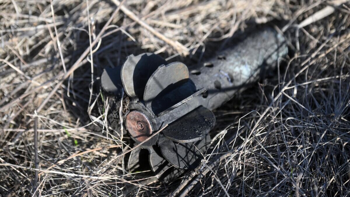    Мина в Петровском районе Донецка© РИА Новости / Илья Питалев