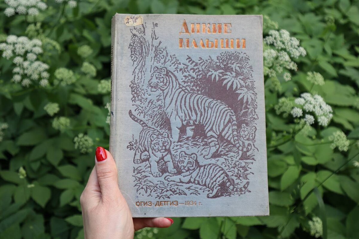  Дикие малыши : рассказы о животных / рисунки В. Ватагина . – Государственное издательство детской литературы, 1934. – 151 с. : ил.  Для детей младшего возраста
