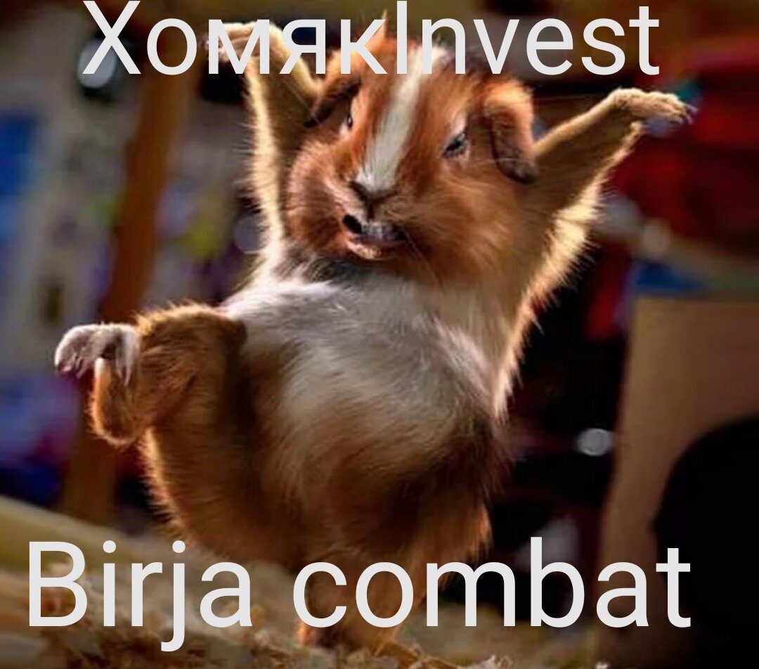 Стиль биржевого хомяка 