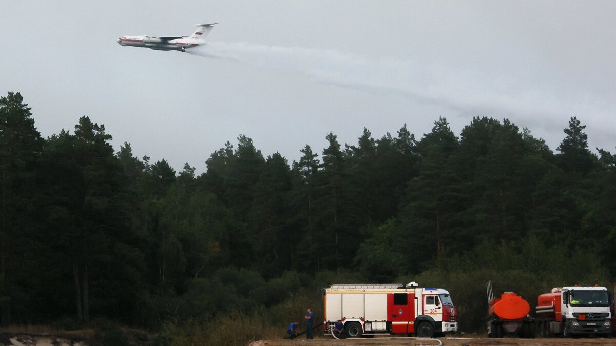    Пожары в Рязанской области© РИА Новости . Виталий Белоусов