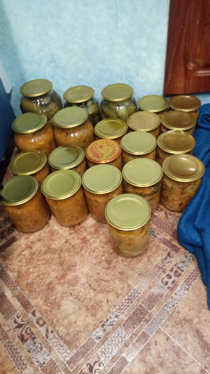 Мои вечерние труды