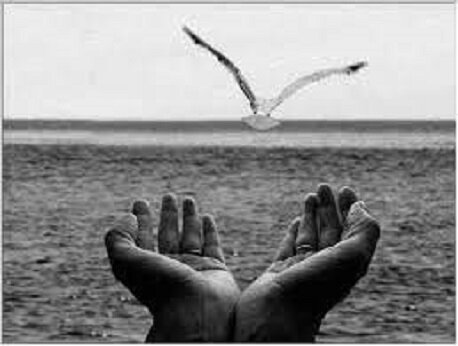 картинка из интернета