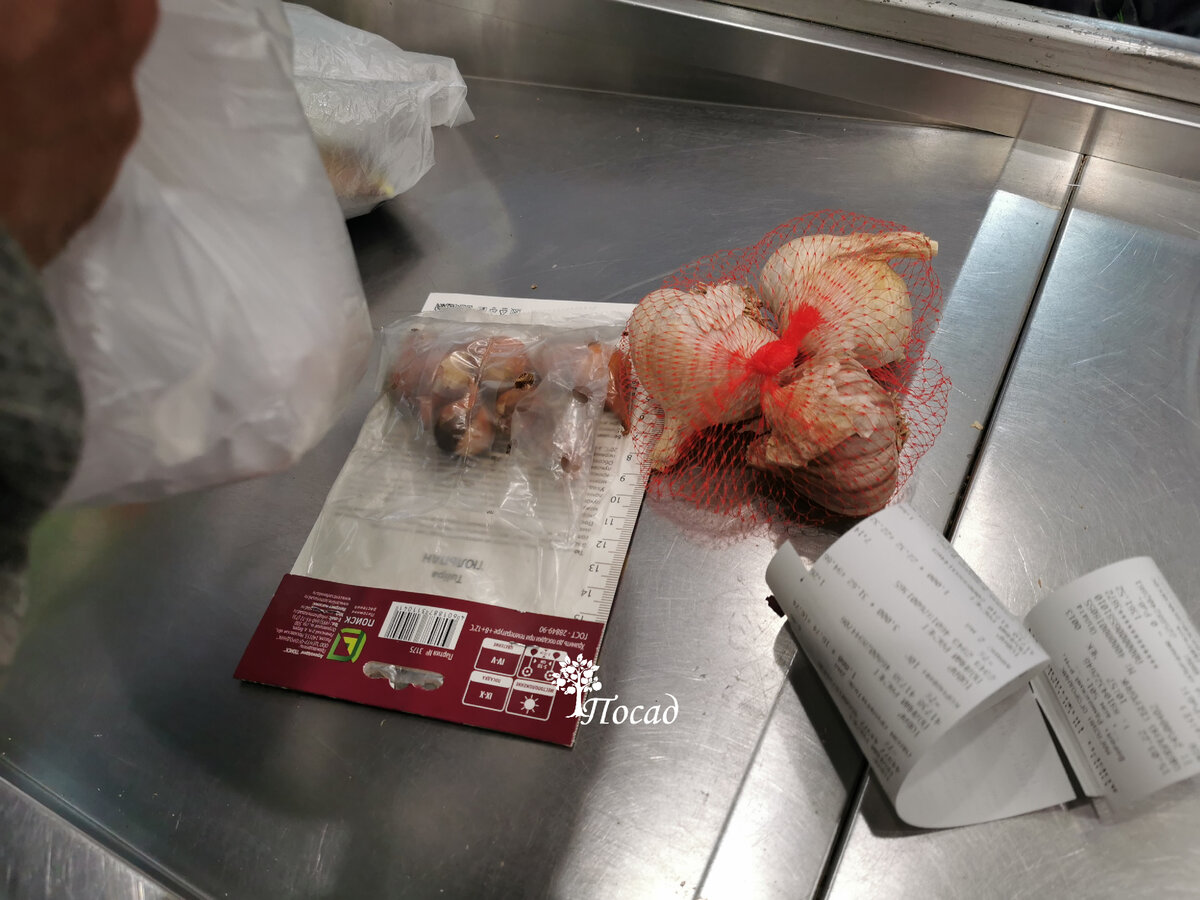 3 головки 250г