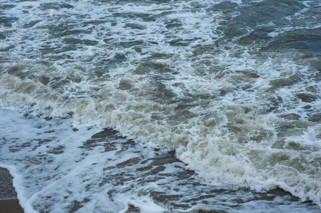   Фото из архива Калининград.Ru