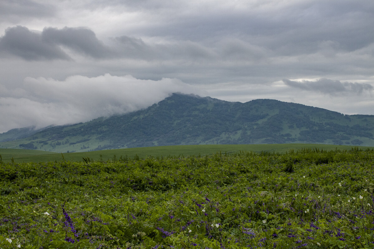 Вид завораживает. 