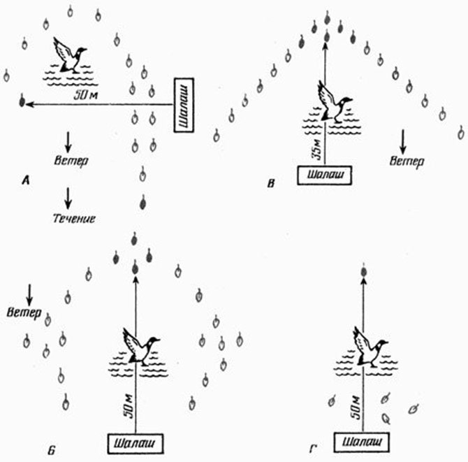 Схема расстановки чучел уток