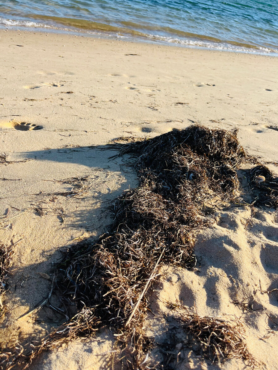 Было… начинаю уборку океана) 