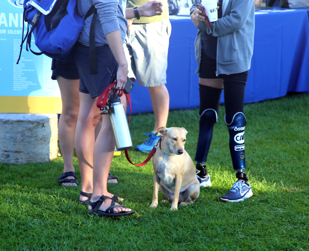  Сценки на TRIATHLONCHALLENGE-2017 в Ла-Хойе