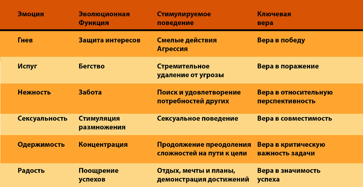 Это семейство эмоций можно условно назвать активными. Сами по себе они при высокой интенсивности способствуют двигательной активности, а при низкой - её планированию.