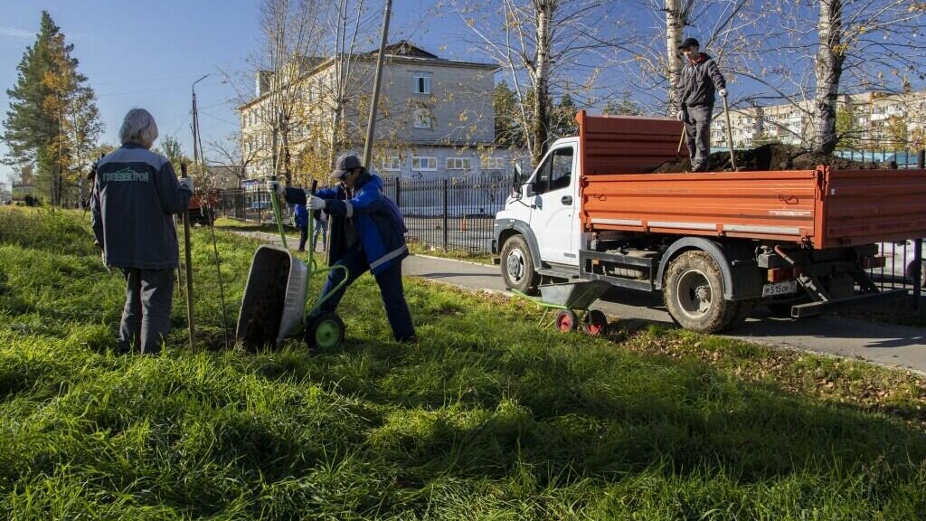     Для высадки сейчас самое время - в этот период деревья хорошо приживаются. Работы ведутся согласно графику производства.