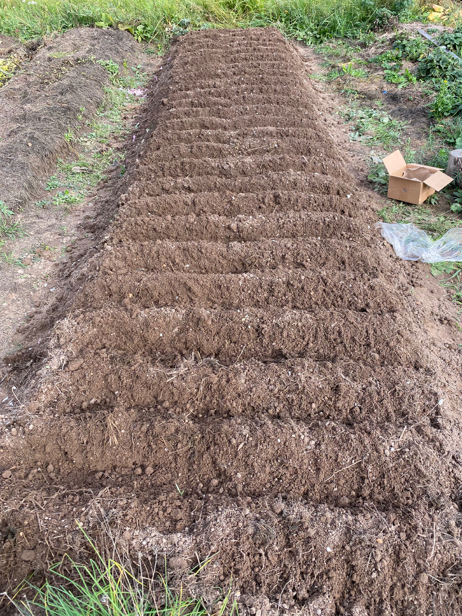 Личное фото 