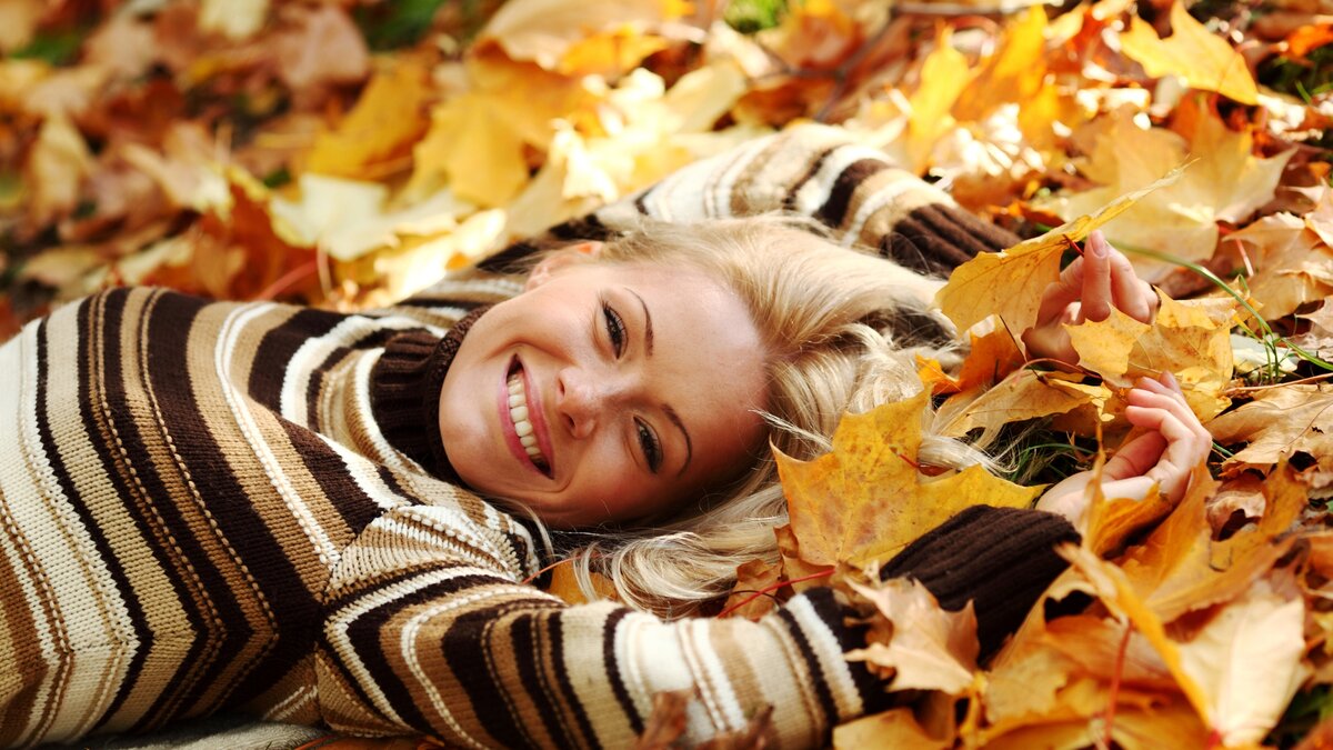 Изображение взято из открытых источников