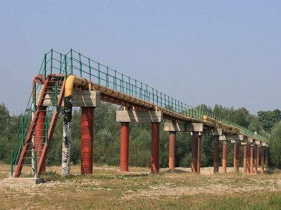     Фото: Wikimedia Commons