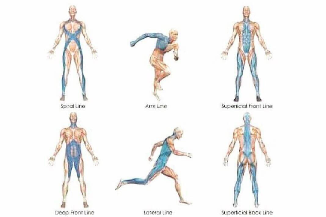 Из открытых источников