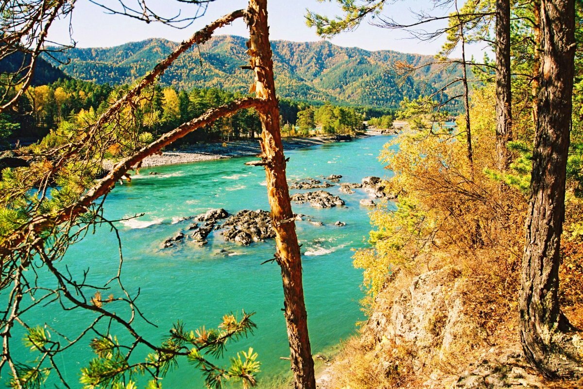 Катунь осенью,  фото автора 