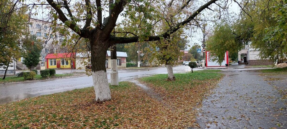 В городе осень... И дождь и слякоть... Ну как тут не плакать?  Ну как не плакать?... 