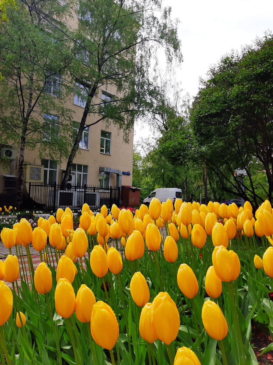 Фото автора - ГБУЗ "Городская клиническая больница им. А.К. Ерамешанцева" Департамента здравоохранения города Москвы.