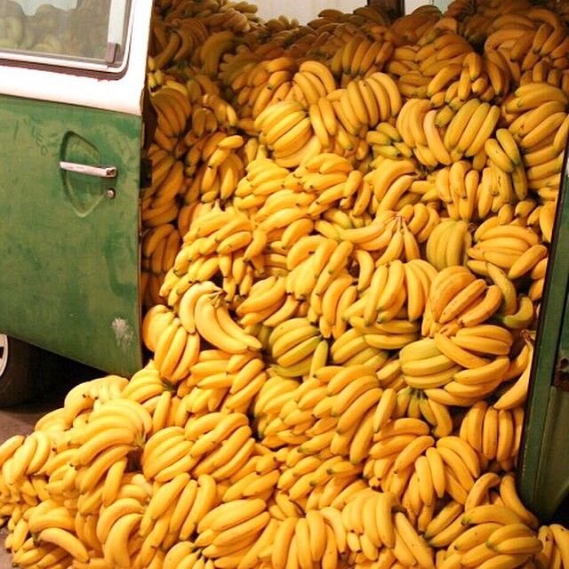 Картинка из яндекса 