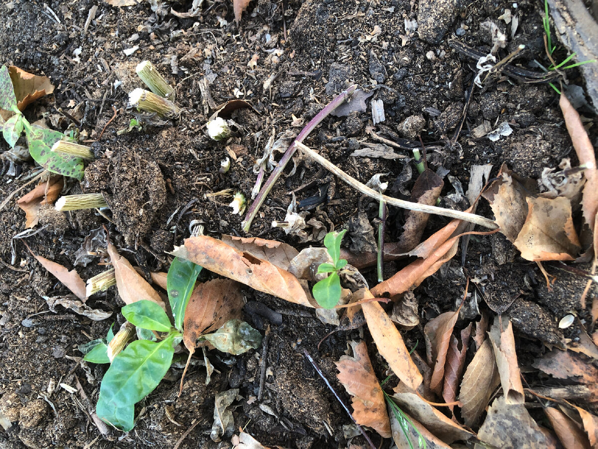 После обрезки