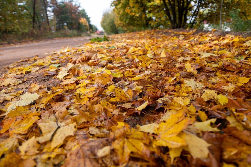     Первый снег выпадет в Петербурге в конце ноября  ПЫХАЛОВА Юлия (архив)
